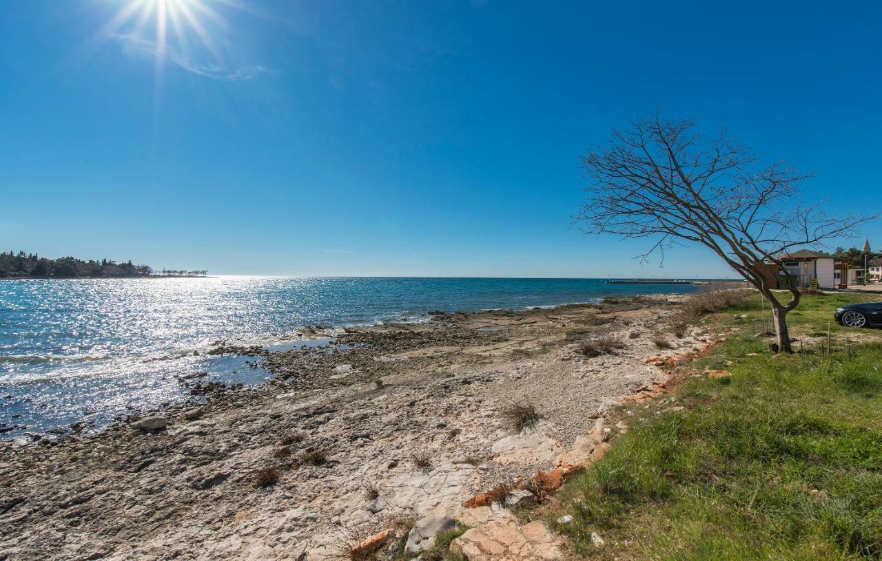 Villa Punta Mulino Lovrečica Dış mekan fotoğraf